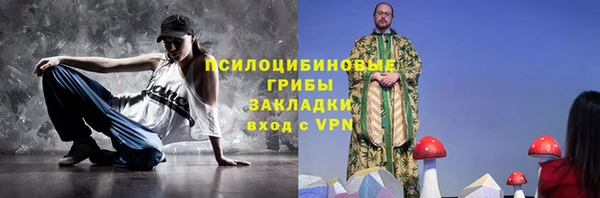 дживик Богородск
