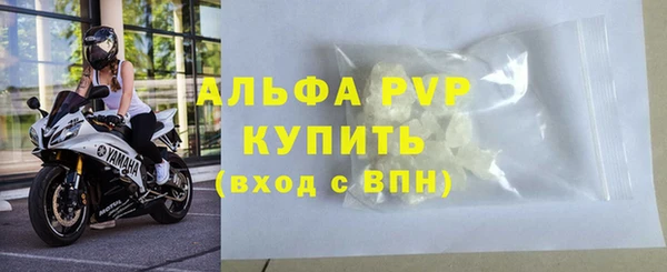 дживик Богородск
