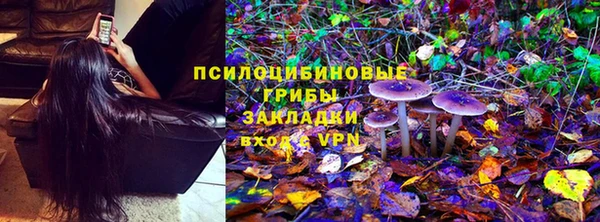 ГАЛЛЮЦИНОГЕННЫЕ ГРИБЫ Каменногорск