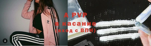 соль ск Богданович