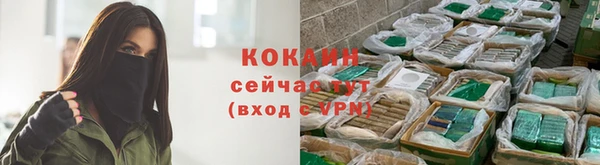 соль ск Богданович