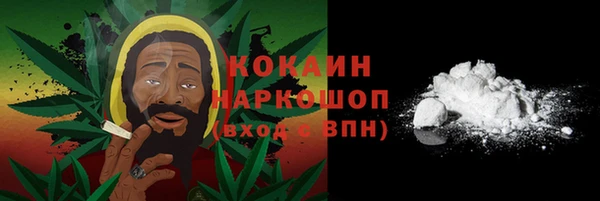 соль ск Богданович