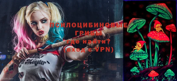 соль ск Богданович