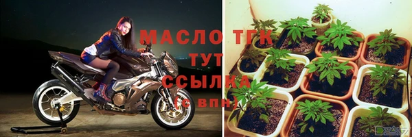 дживик Богородск