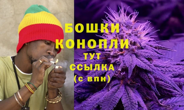 дживик Богородск