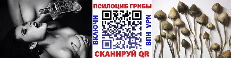 Псилоцибиновые грибы прущие грибы Котовск