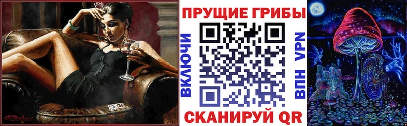 Галлюциногенные грибы мухоморы  закладки  мега маркетплейс  Котовск 
